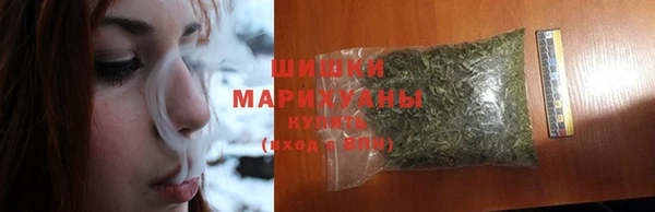 мет Ельня