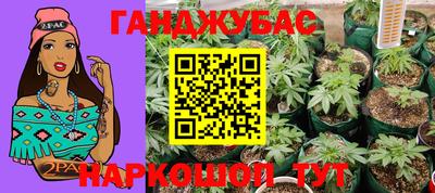 индика Уссурийск