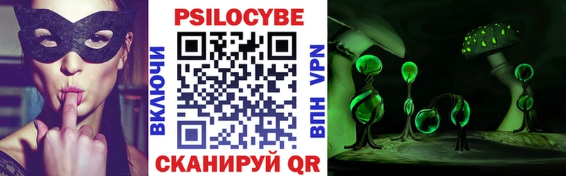 Псилоцибиновые грибы Psilocybe  Мыски 