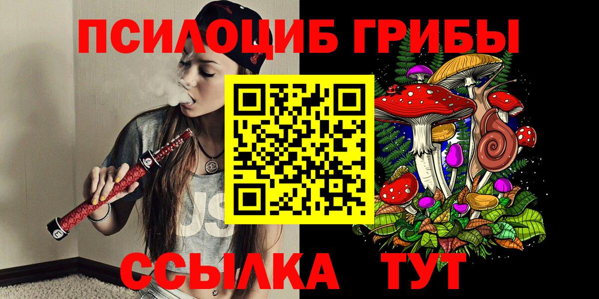 Мыски  Псилоцибиновые грибы прущие грибы  наркотики  Вход с VPN 